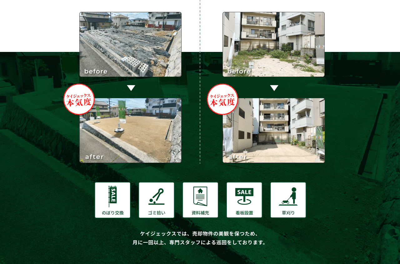 現地巡回の様子