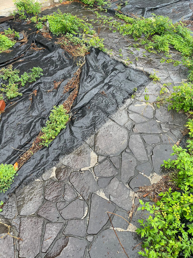 廿日市市八坂二丁目土地