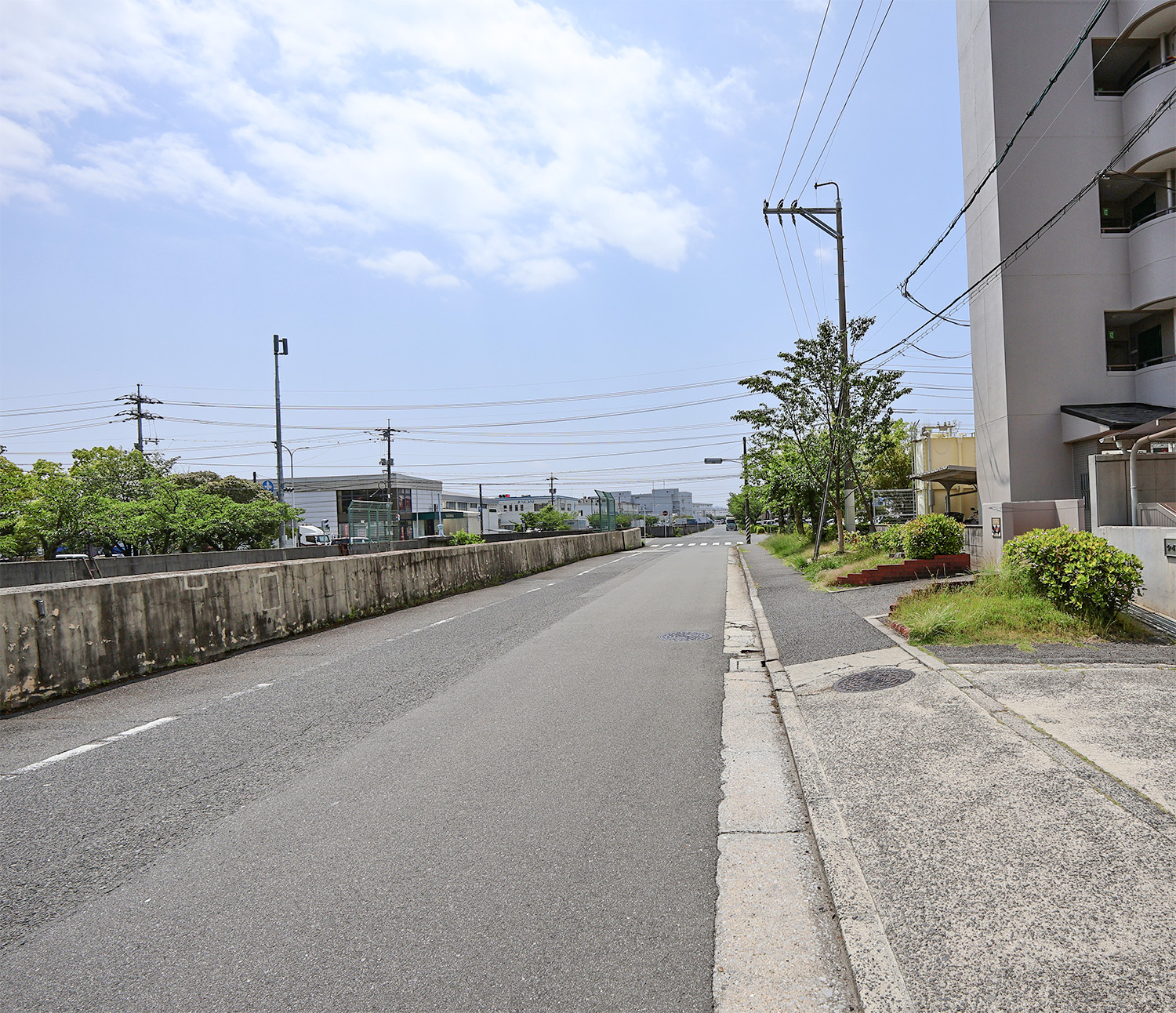 前面道路