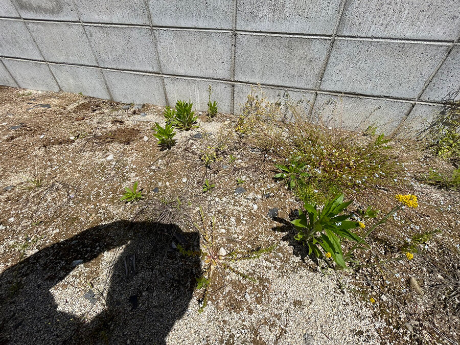 安芸郡府中町鹿籠二丁目土地2区画