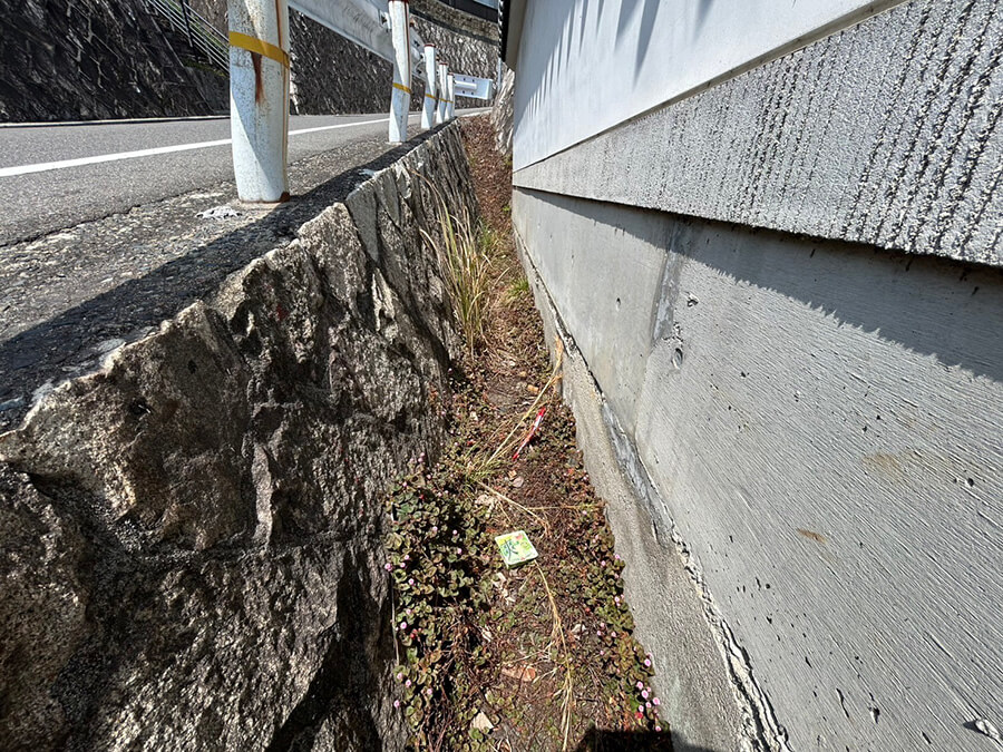 西区井口二丁目土地