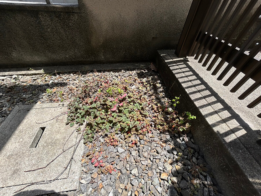 西区井口台二丁目戸建