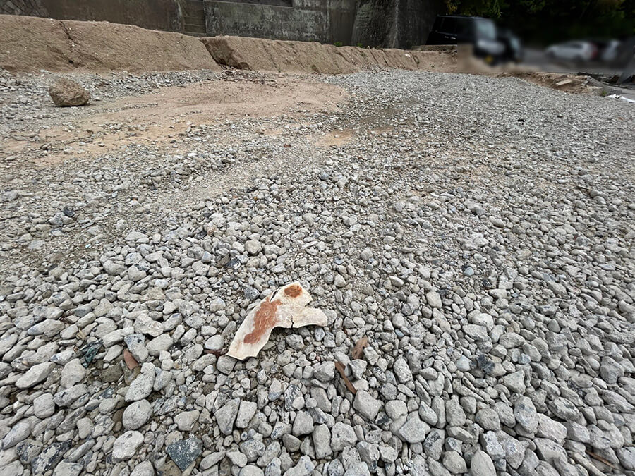 安芸郡府中町鹿籠二丁目土地No.5