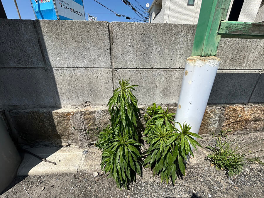 南区向洋大原町新築