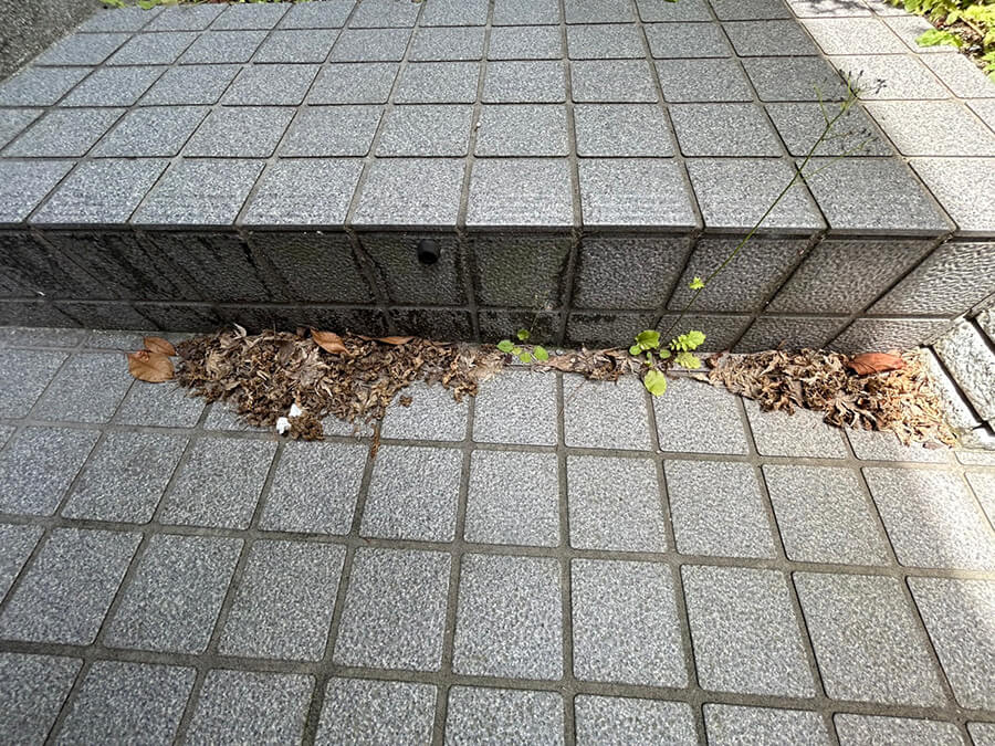 西区井口台二丁目戸建