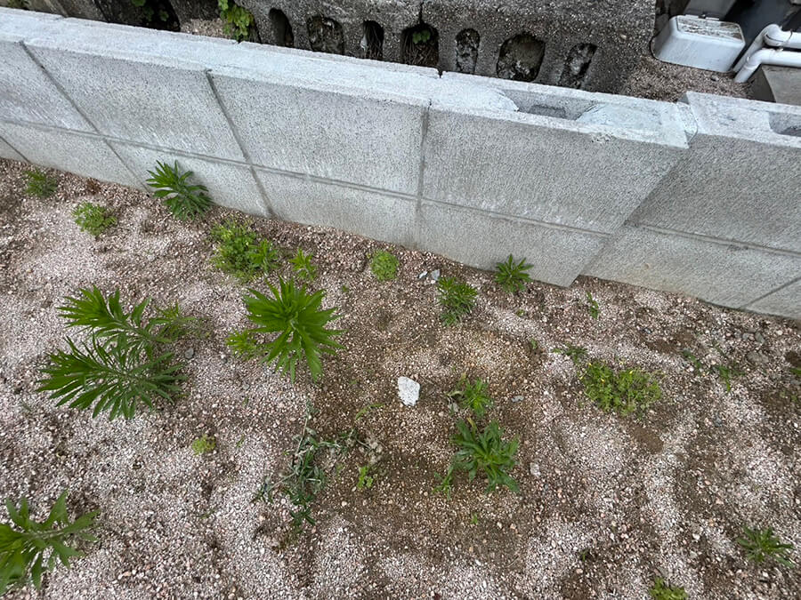 廿日市市阿品二丁目土地