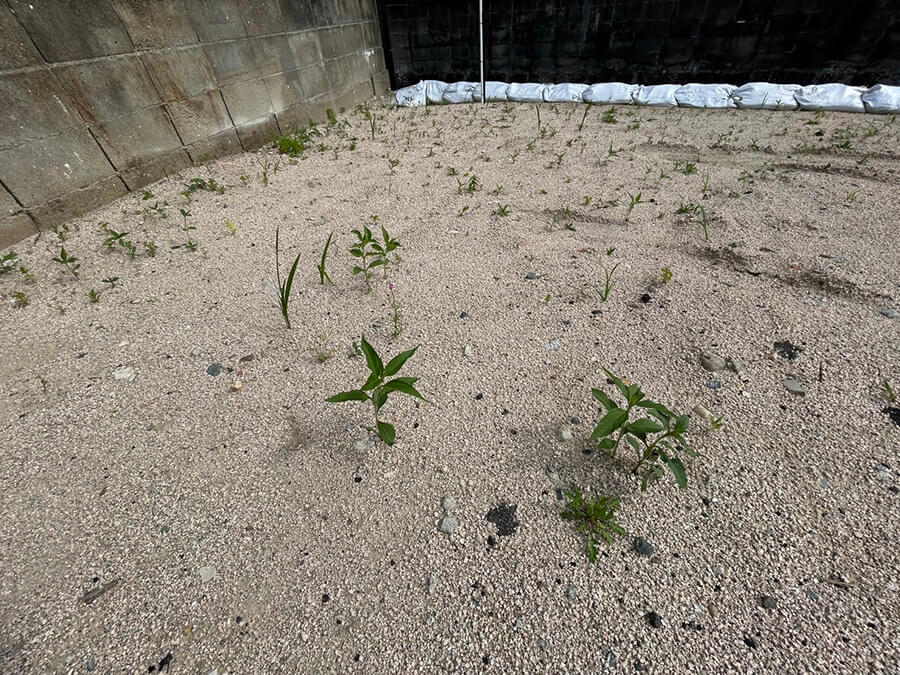 東区温品三丁目土地