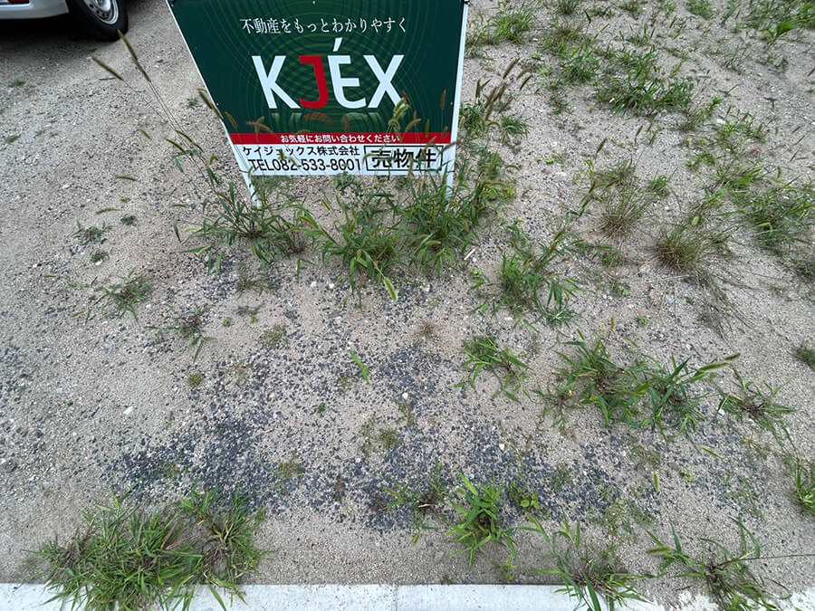西区己斐東一丁目土地