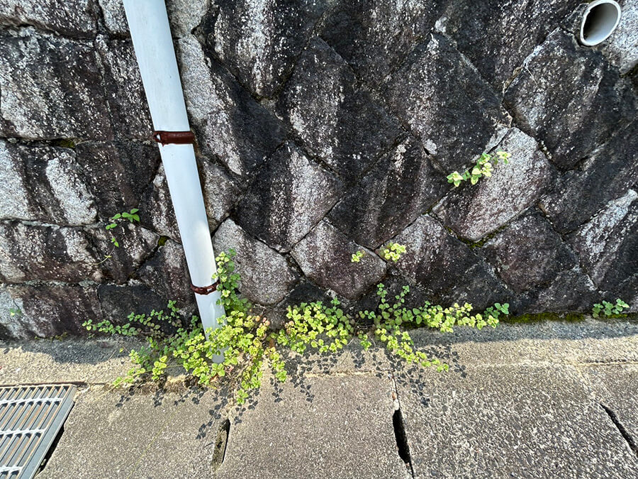 安佐北区倉掛二丁目土地