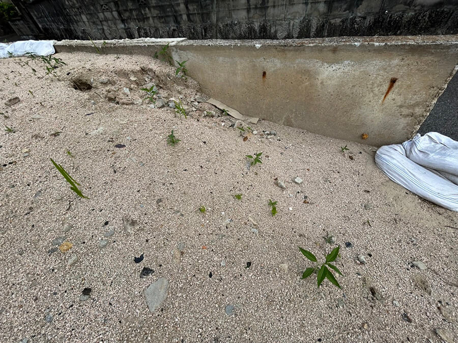 東区温品三丁目土地