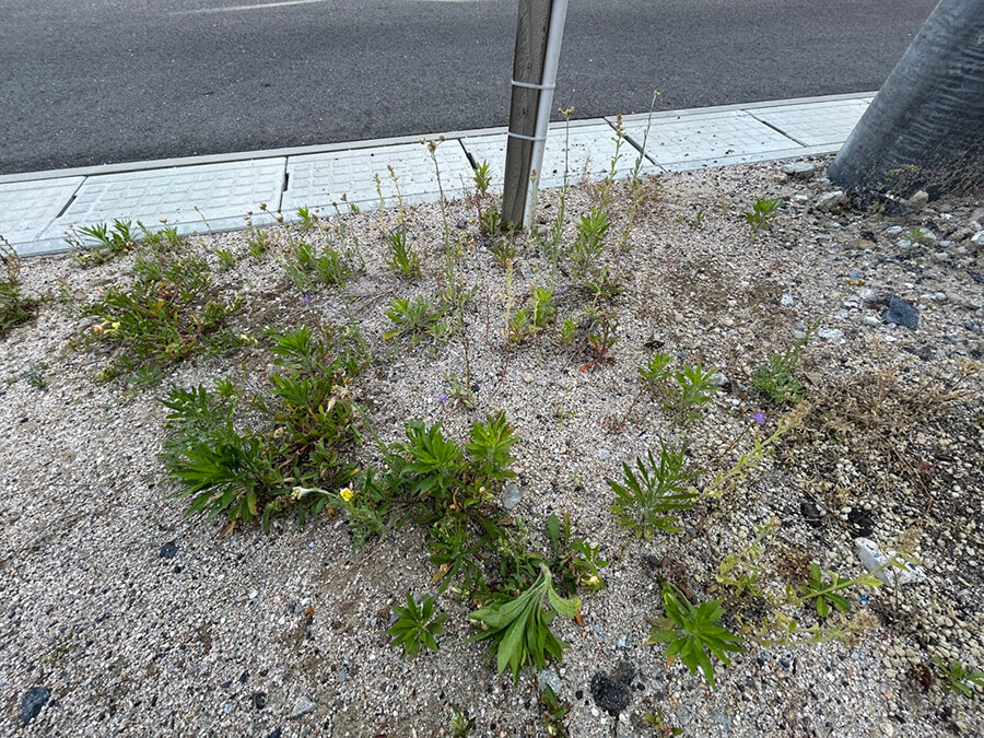 西区庚午南二丁目土地No.7〜11