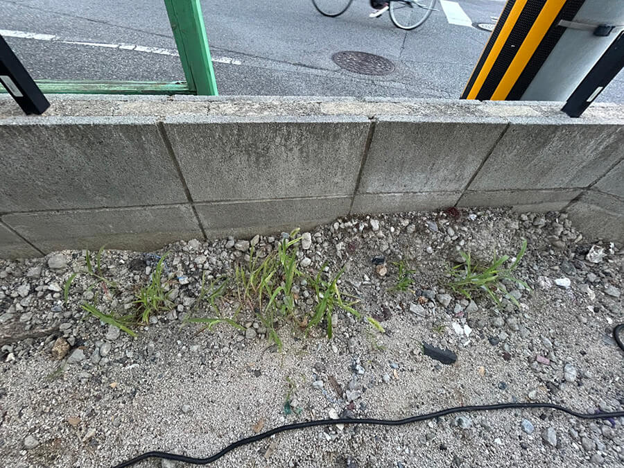 南区向洋大原町新築