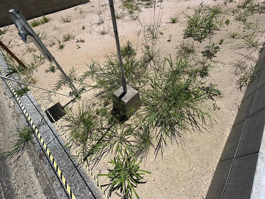 大竹市玖波二丁目土地