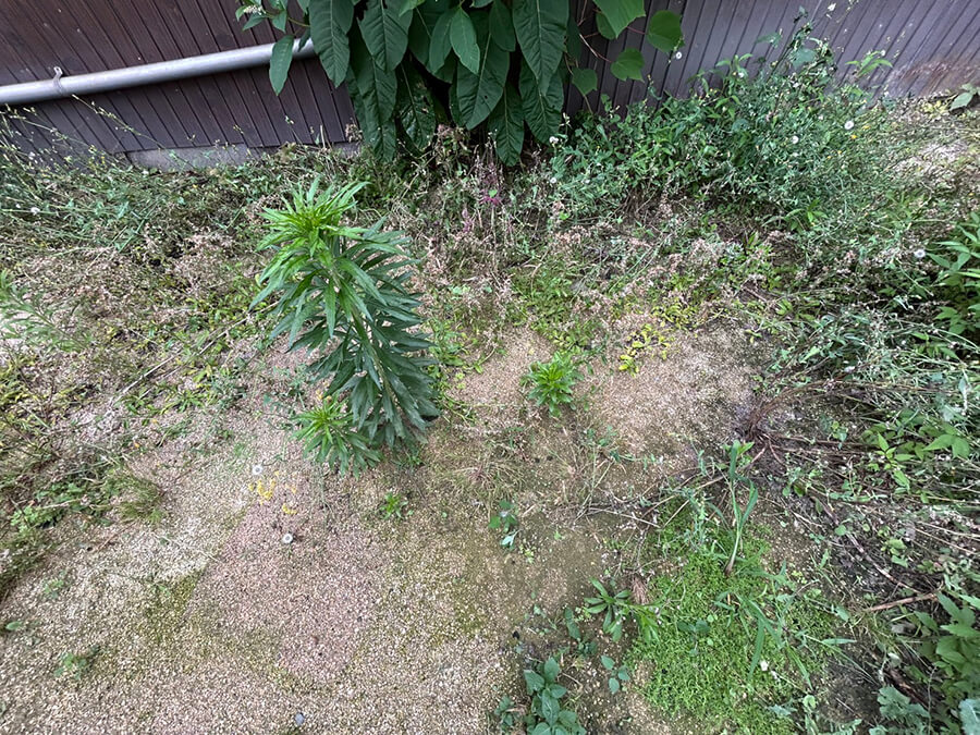 呉市三条二丁目　土地