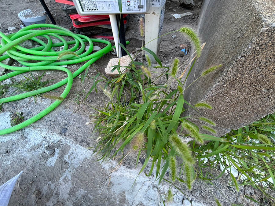 南区宇品西ニ丁目新築戸建