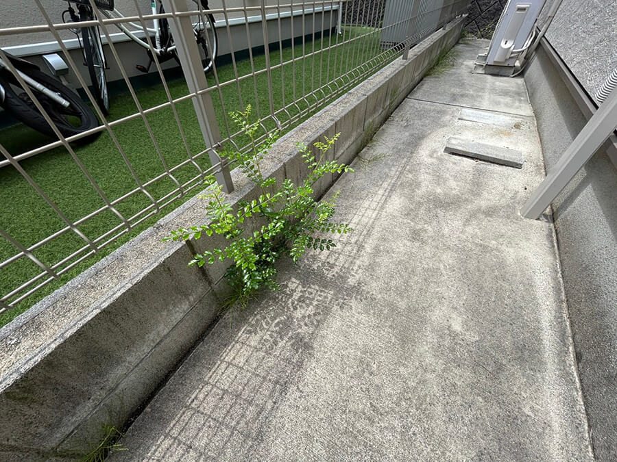 安佐南区山本新町三丁目戸建