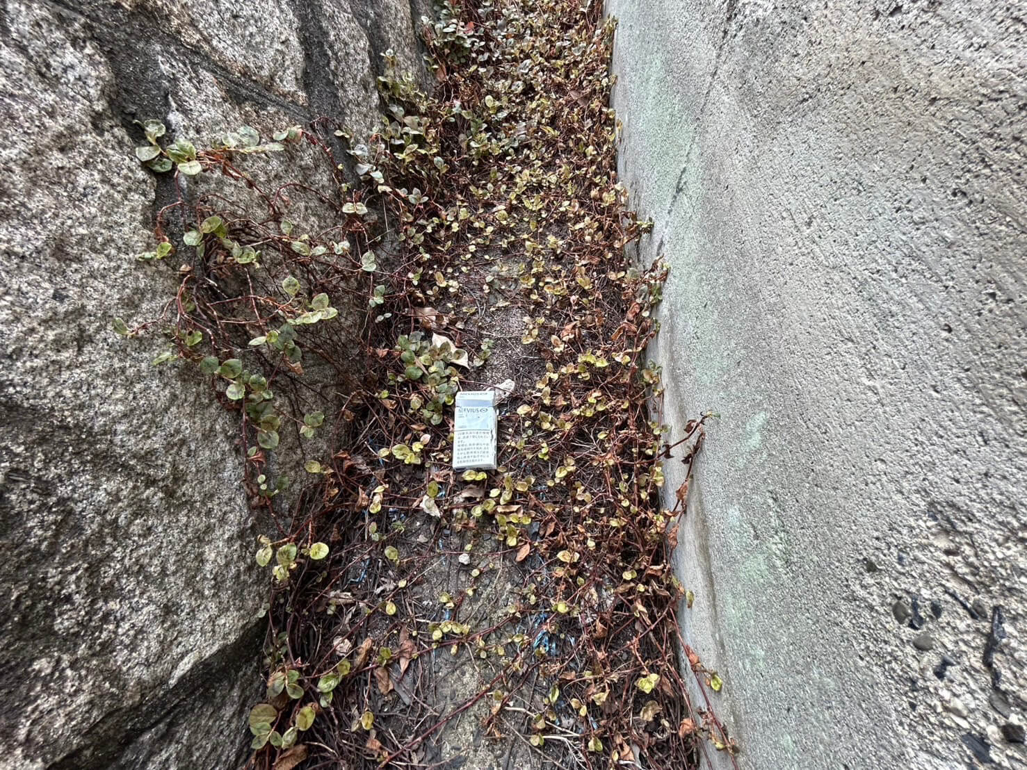 西区井口二丁目土地