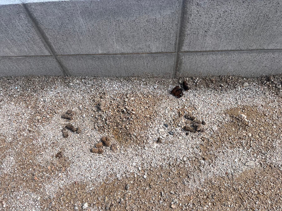 西区草津梅が台新築