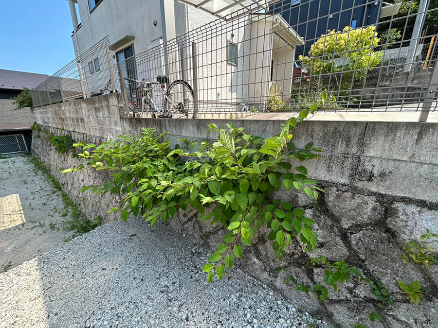 西区新庄町土地