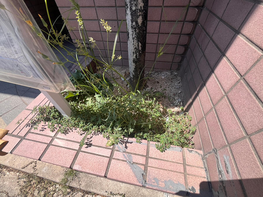 西区南観音四丁目事務所付き戸建