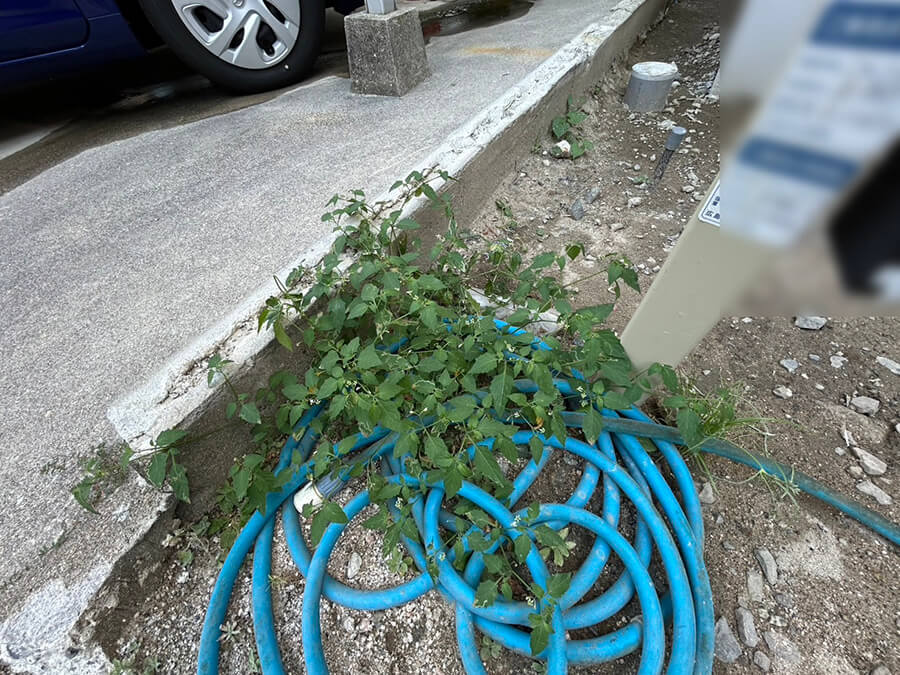 西区南観音七丁目新築戸建