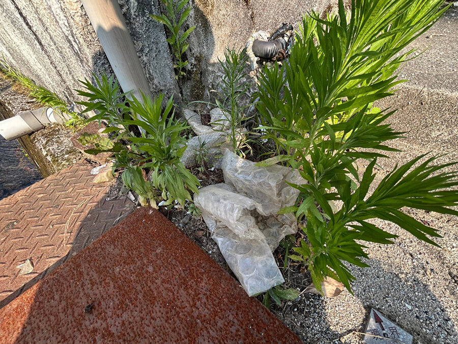 安佐北区亀山七丁目土地