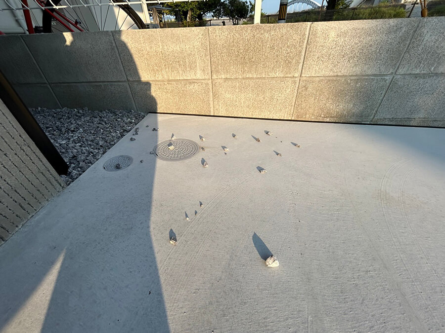 西区庚午南一丁目新築No.2