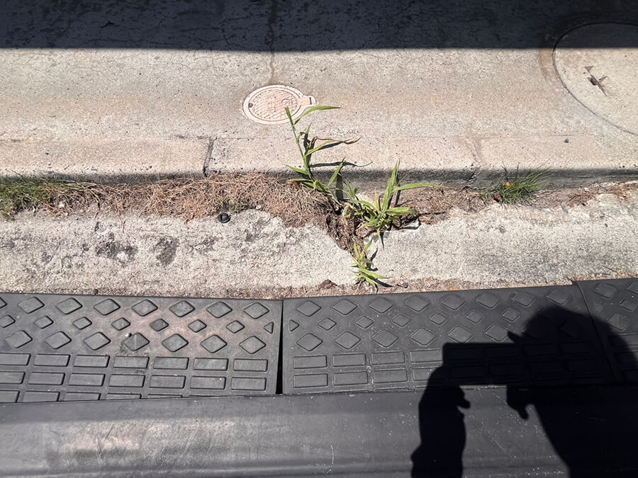 西区南観音四丁目事務所付き戸建