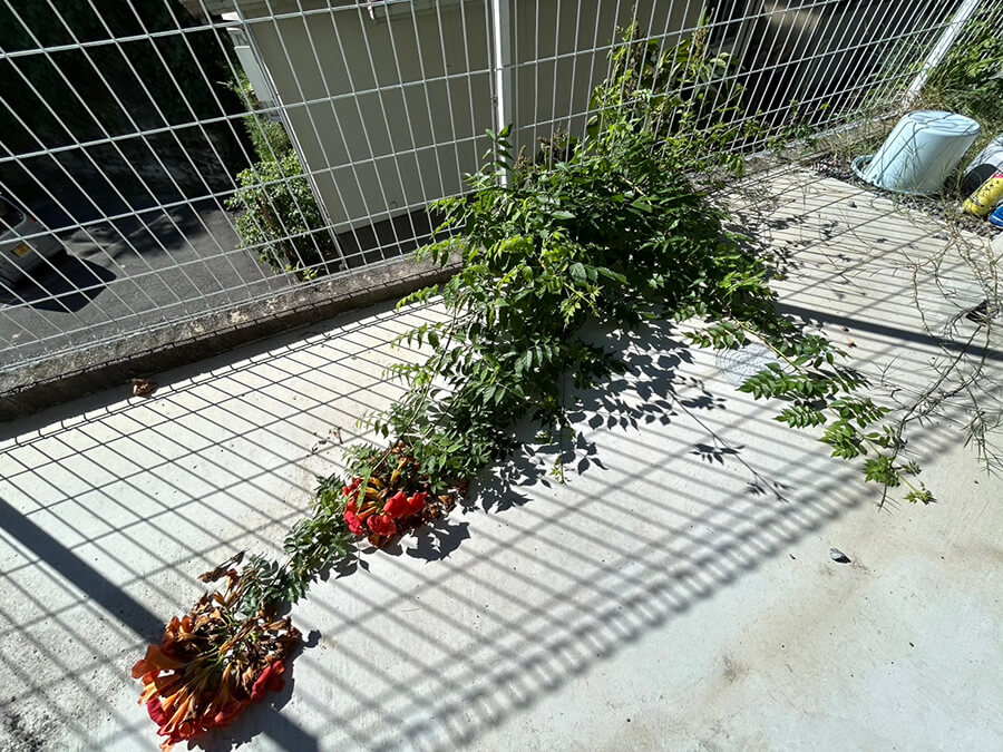 東区尾長東三丁目戸建