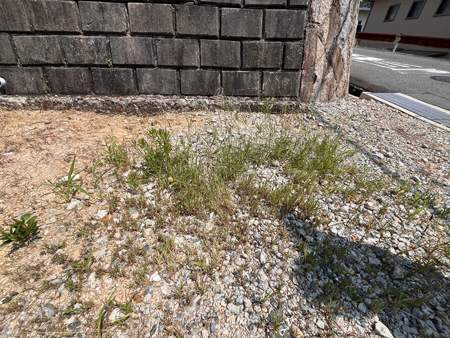 呉市焼山東三丁目土地