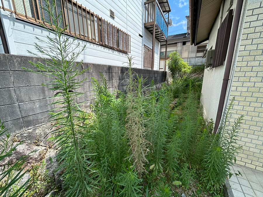 安佐南区高取南二丁目古家付土地