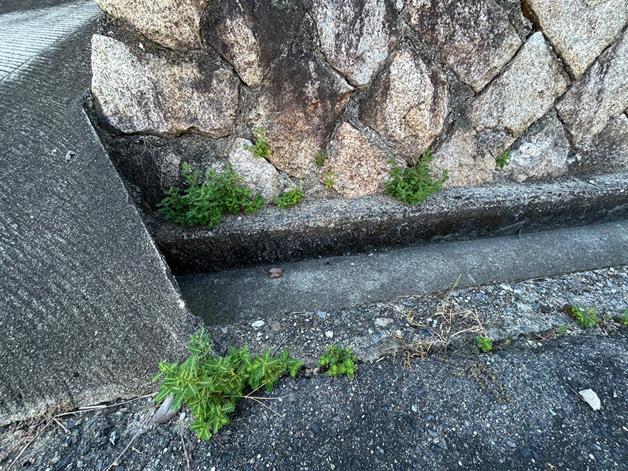 廿日市市八坂二丁目土地