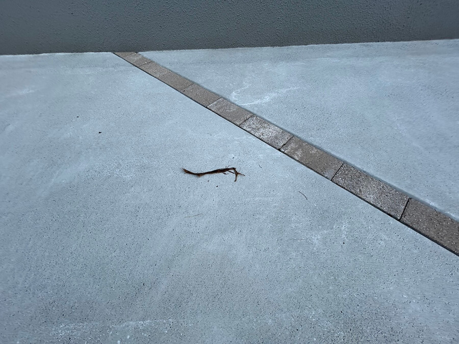 西区庚午南二丁目新築No.3