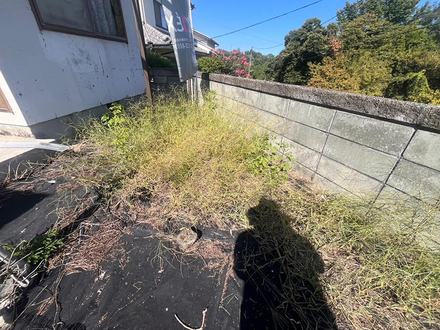 廿日市市八坂二丁目土地