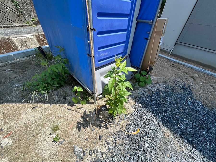 佐伯区皆賀一丁目A区画、B区画