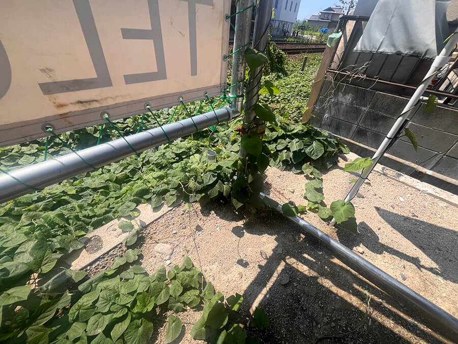 西区古江西町土地