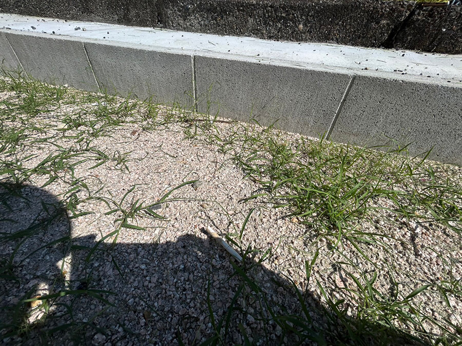 大竹市玖波二丁目土地