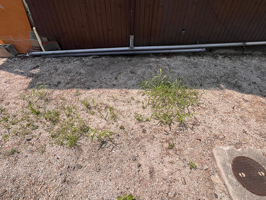 呉市三条二丁目　土地