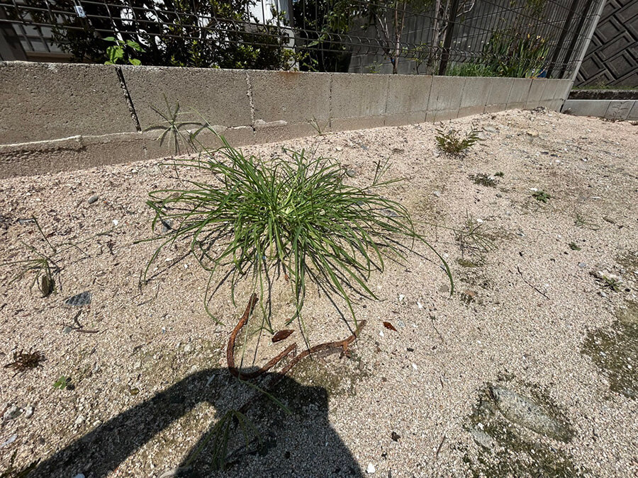 佐伯区皆賀一丁目A区画、B区画