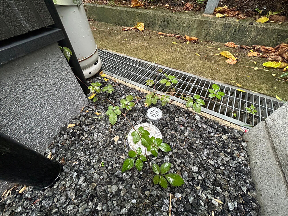 東区尾長東三丁目戸建