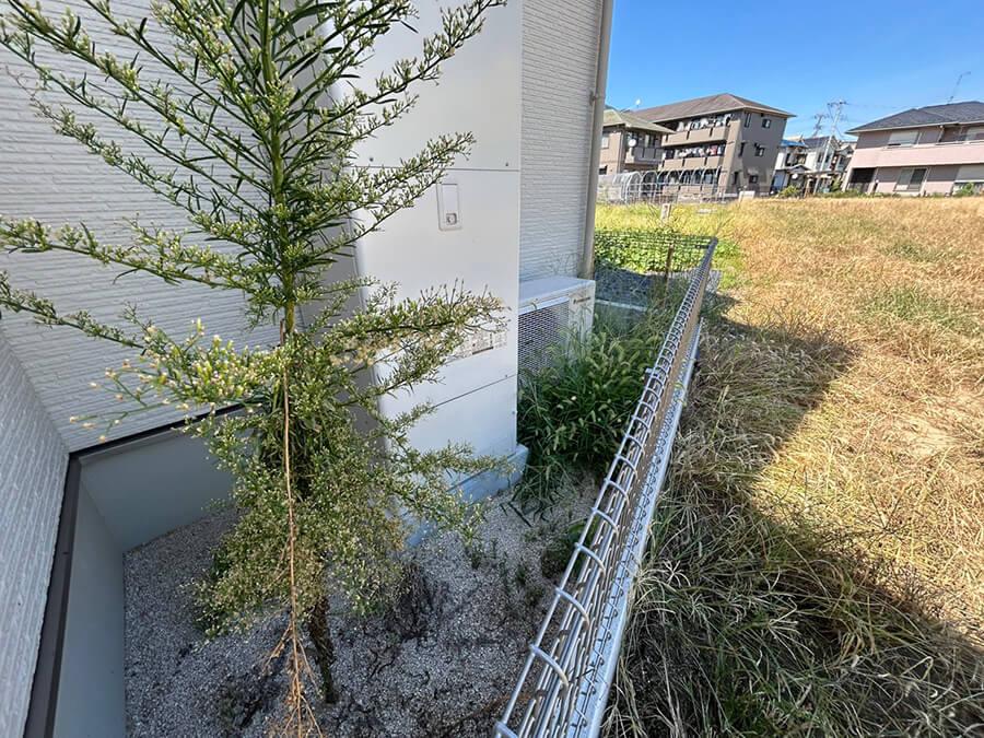 安佐南区川内二丁目新築No.4