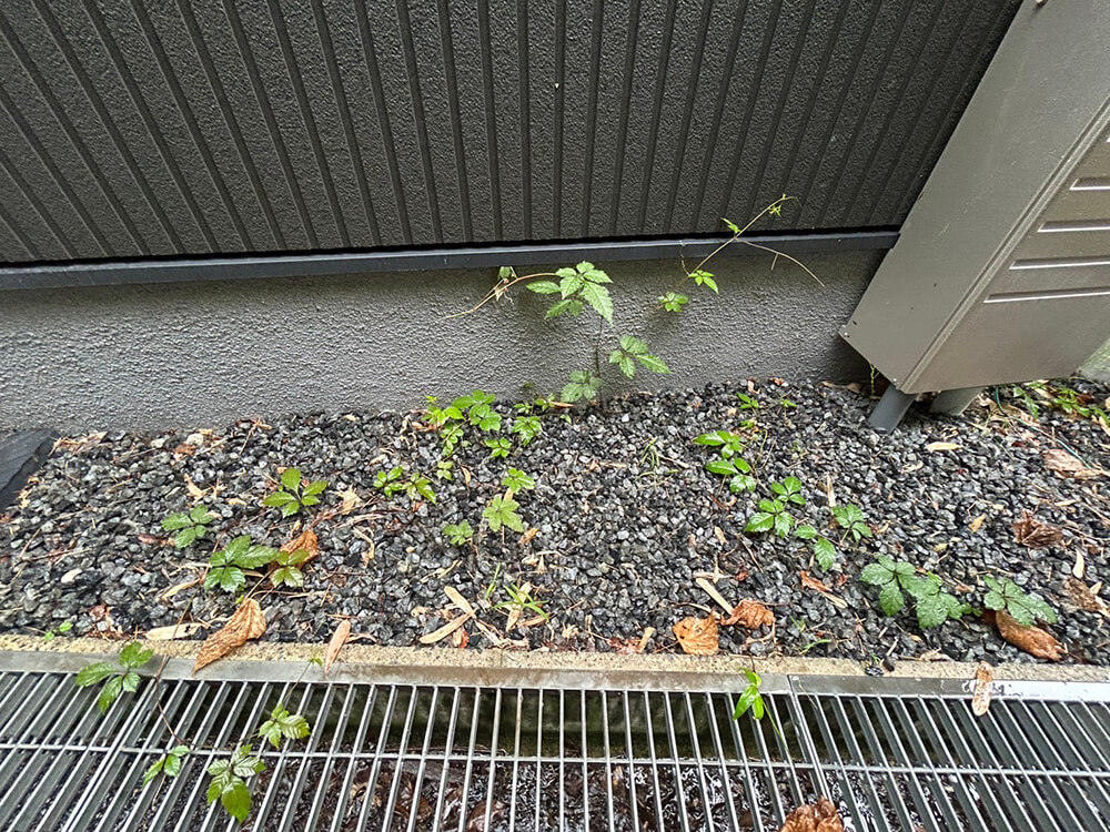 東区尾長東三丁目戸建