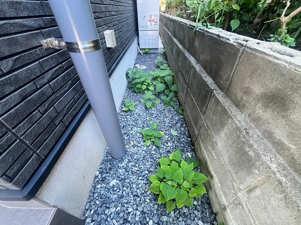 安芸区船越二丁目新築北棟