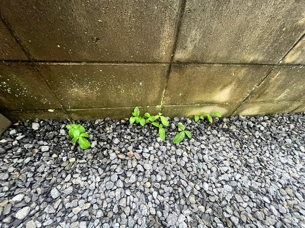 安佐南区高取北一丁目戸建