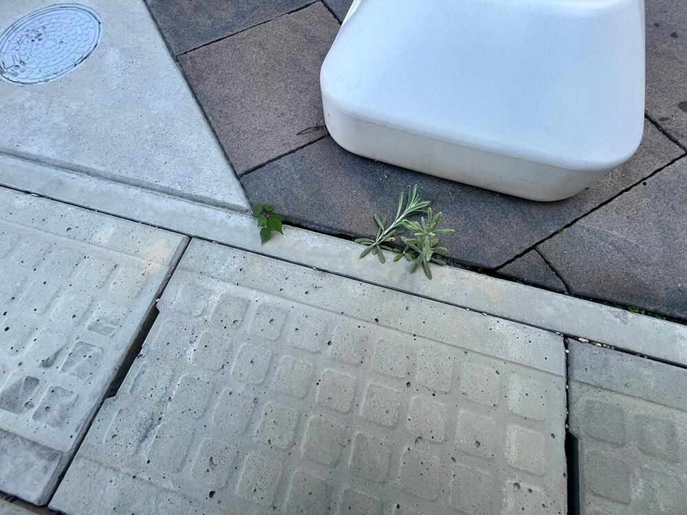 西区庚午南二丁目新築戸建No. 3