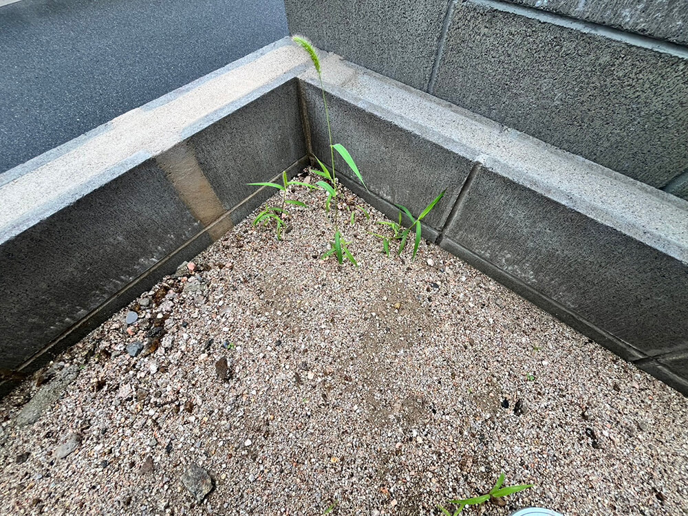 安佐南区伴西四丁目新築戸建