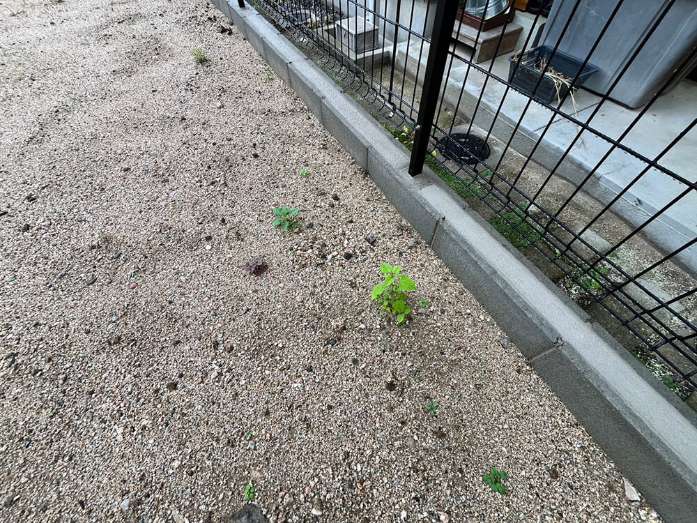 安佐南区伴西四丁目新築戸建