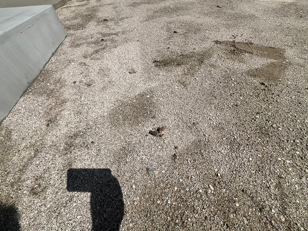 西区草津梅が台新築