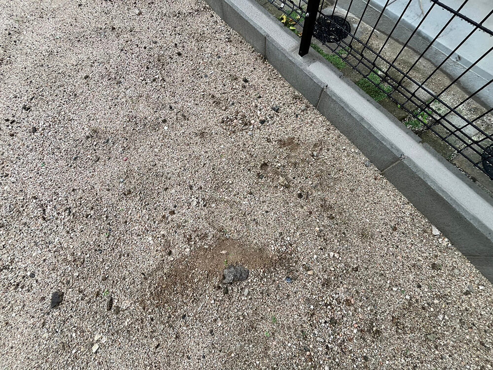 安佐南区伴西四丁目新築戸建