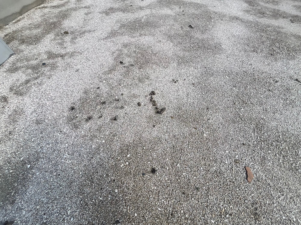 西区草津梅が台新築